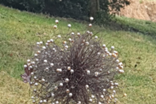 Pusteblume aus Draht1.png